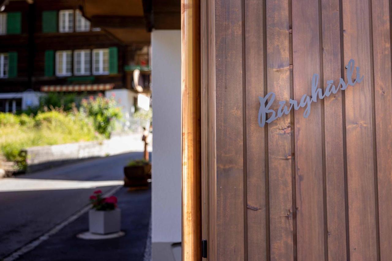 Apartamento Baerghaesli Im Beo Als Basis Im Wintersportgebiet *